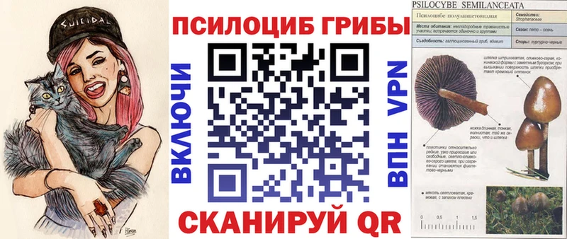 Галлюциногенные грибы Magic Shrooms  Байкальск 